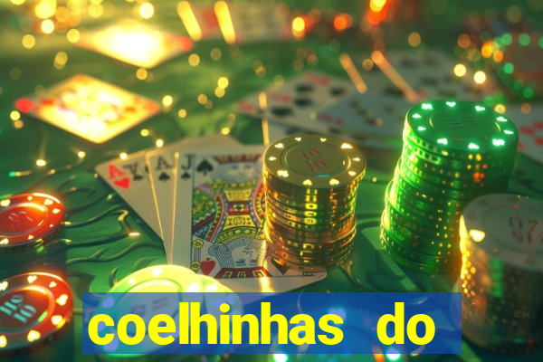 coelhinhas do brasil site